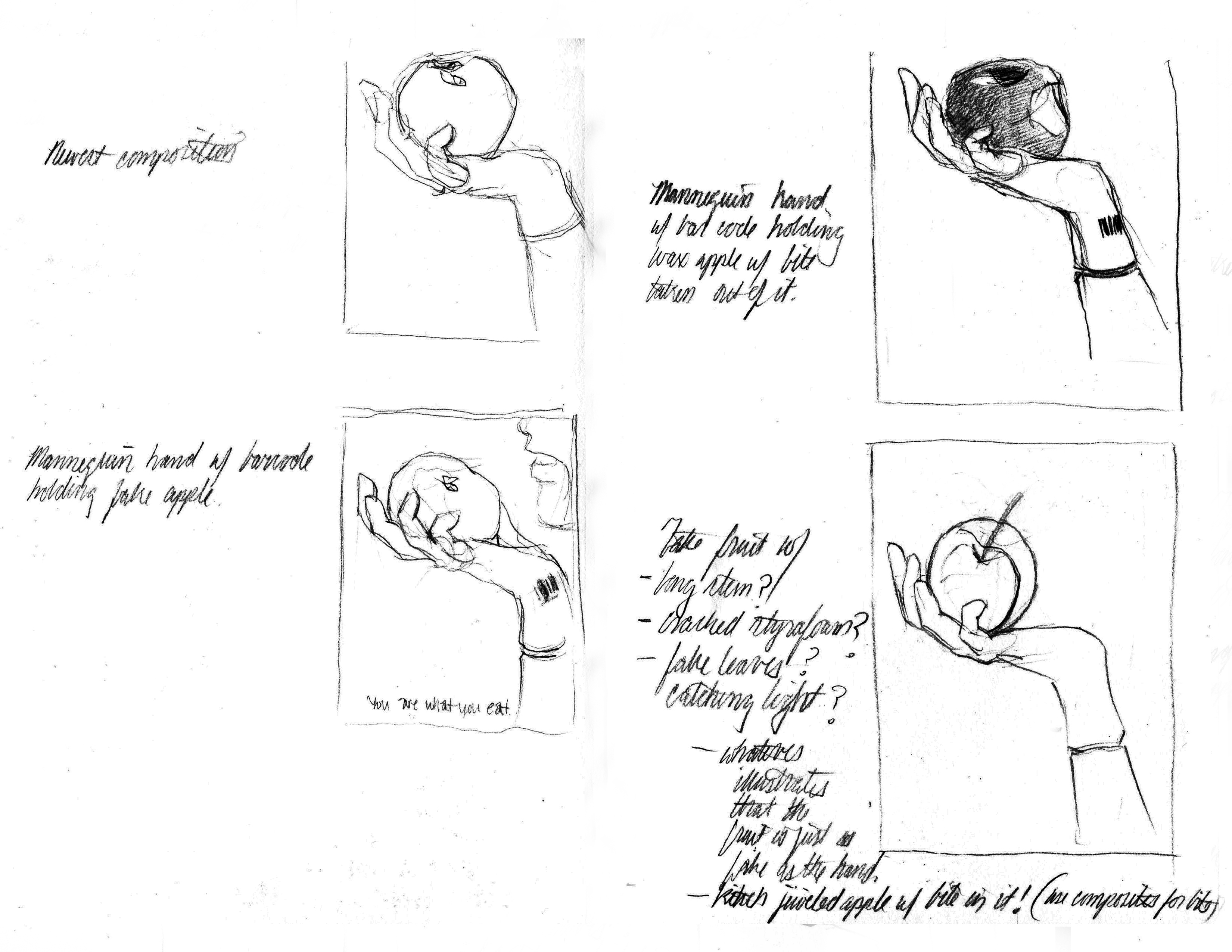 organic food sketch 2